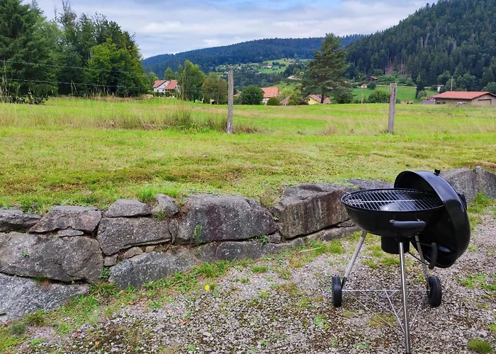 La Terrasse Des Vosges Calme Et Vue Sublime Gérardmer